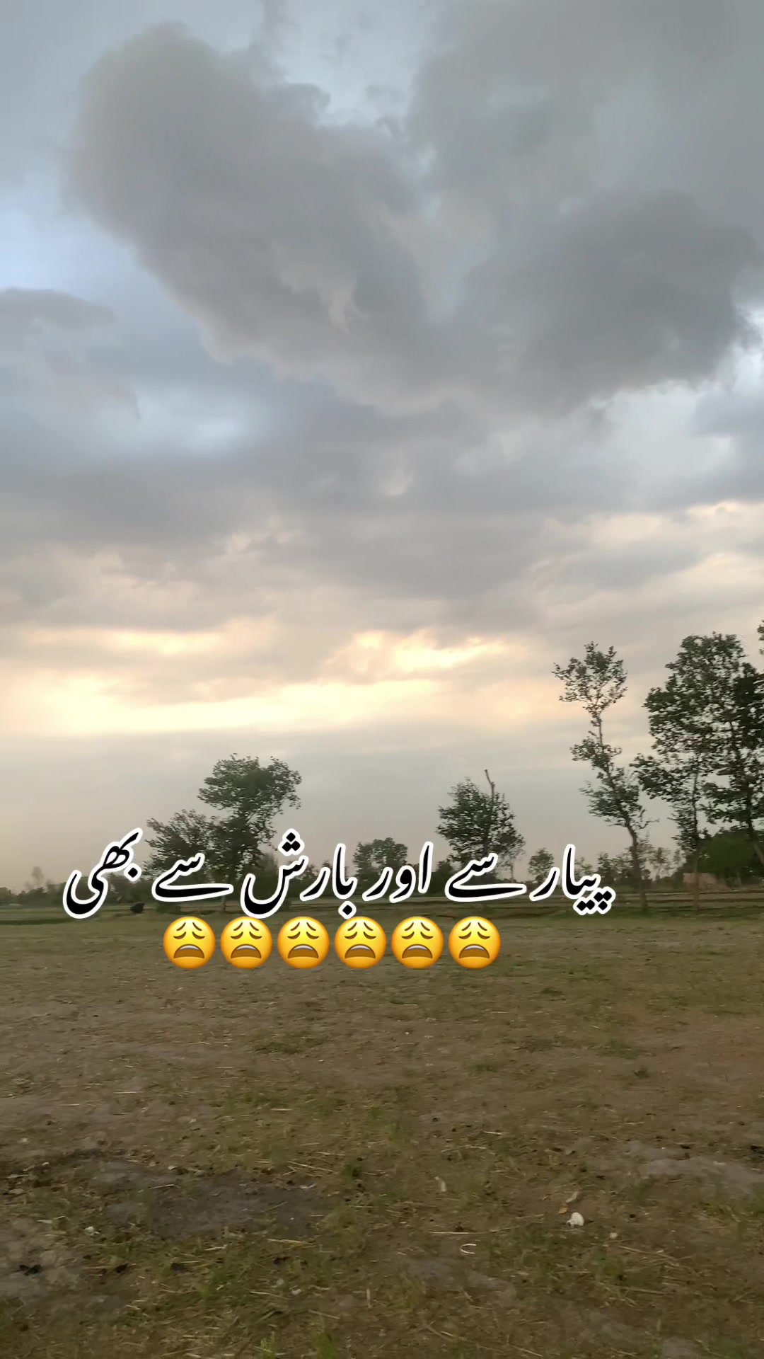 @foji sajjad