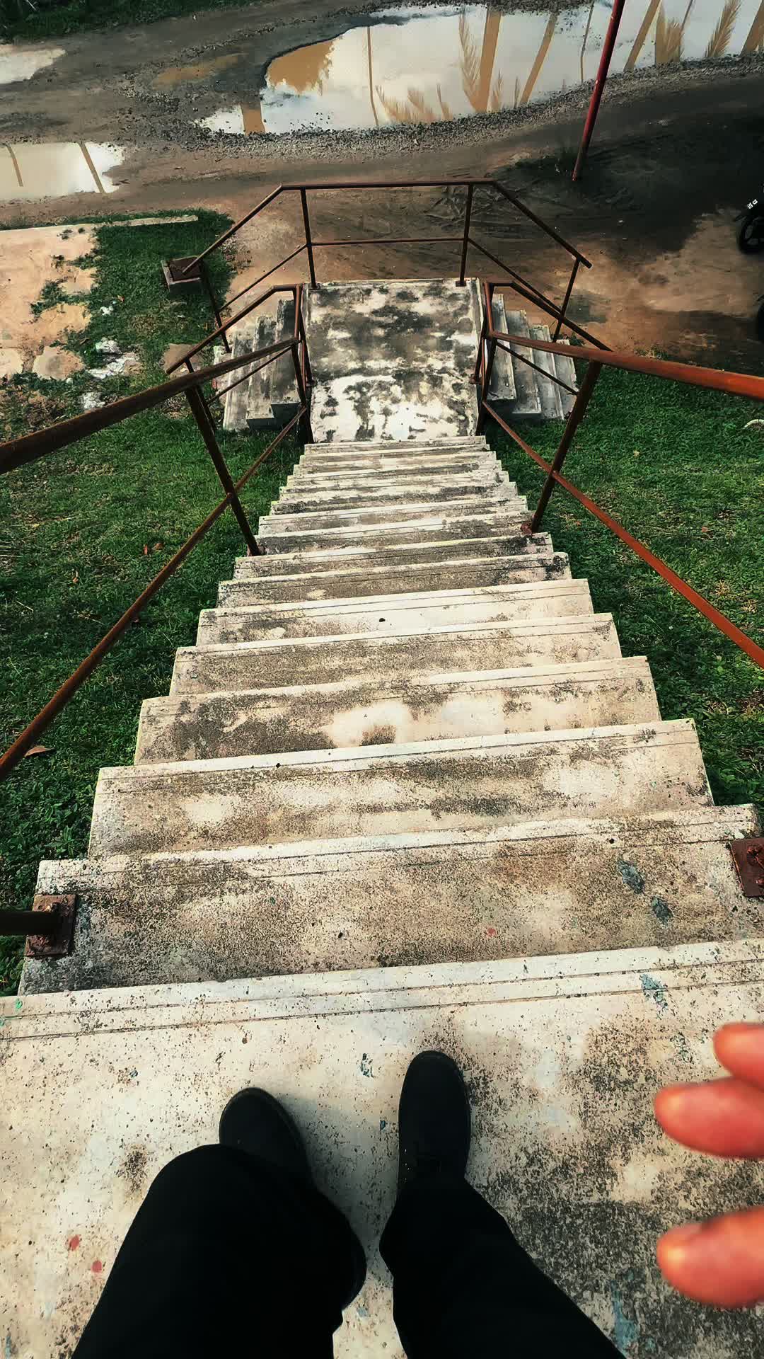 @DINO.85