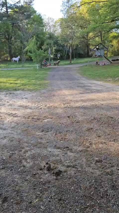 @joserefugiodiaz49