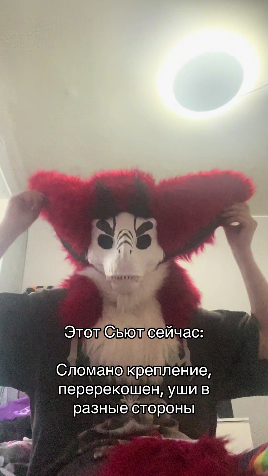 @Тгк: 🌱Бункер Дженнифер 🇺🇸