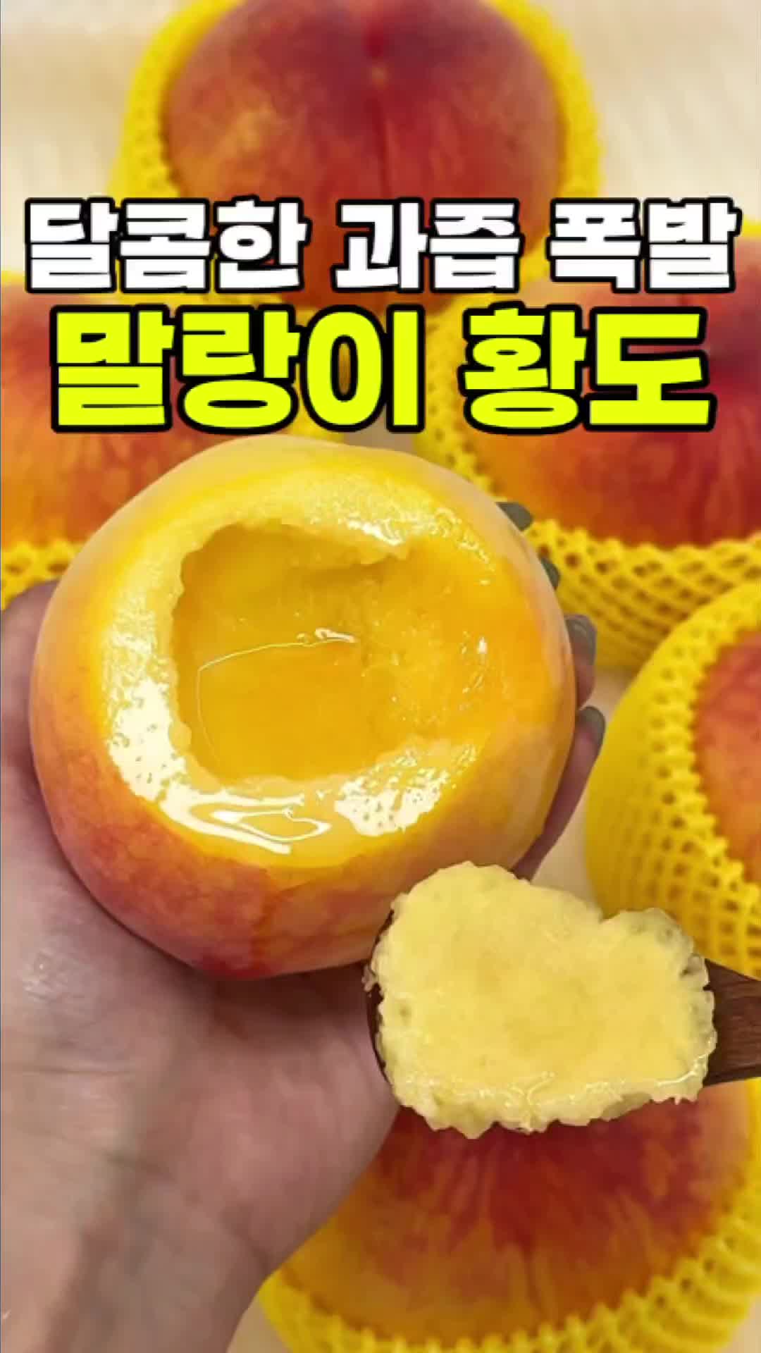 @싱싱햇 - 365일 싱싱한 햇 제철 먹거리