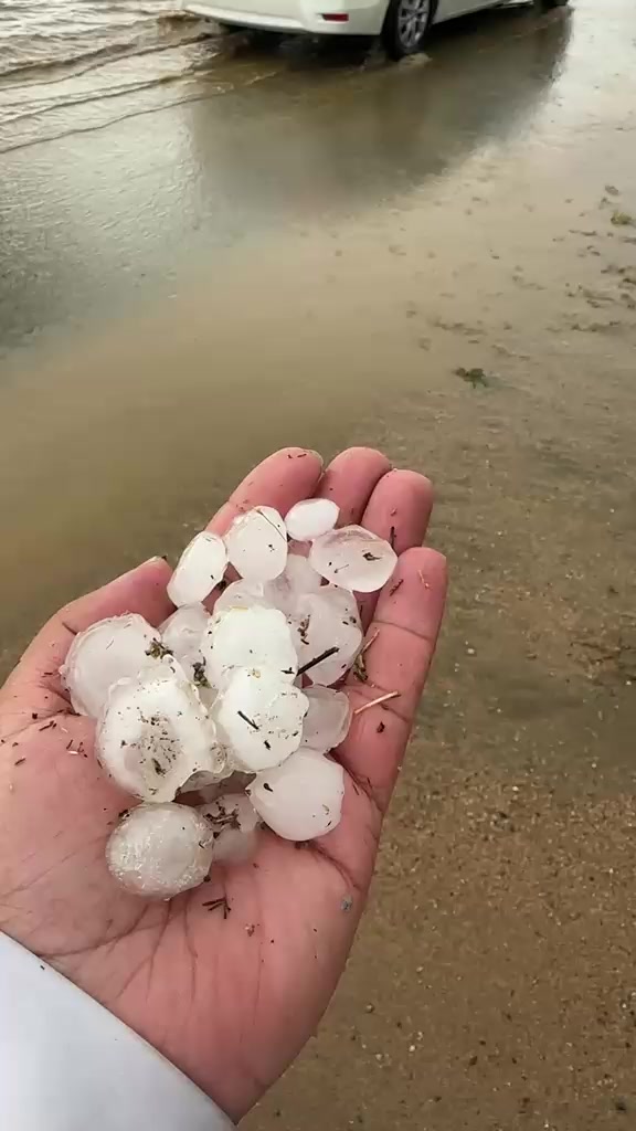 @آبووسآم برق آلَساحل⚡️⛈️