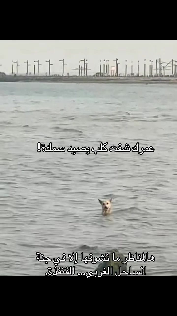 @عمر