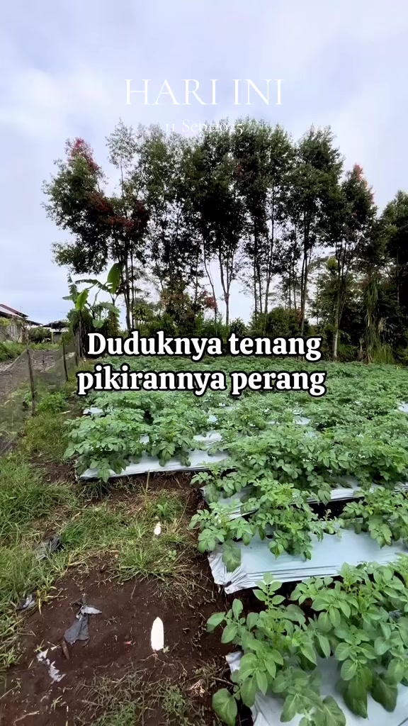 @nanda_setiawan_