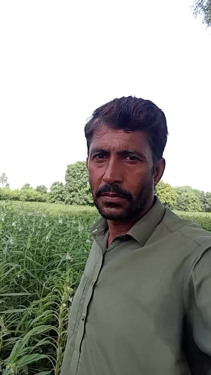 @جام نیاز