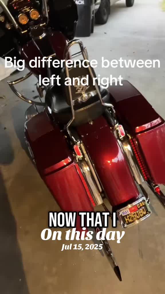 @el.gato.inc