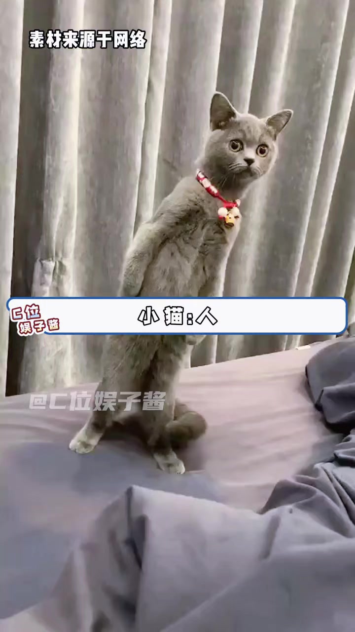 @林京一