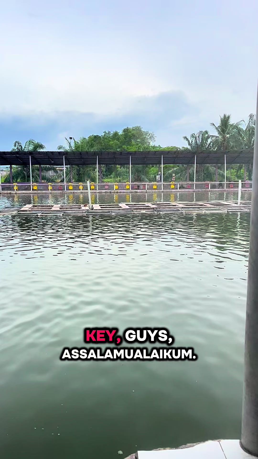 @M Z Reel 🎣