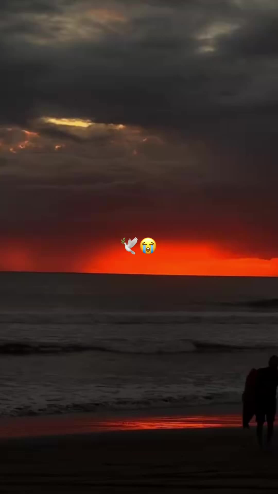 @D🌷