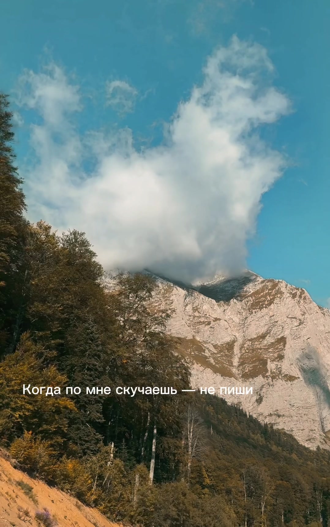 @Katrin