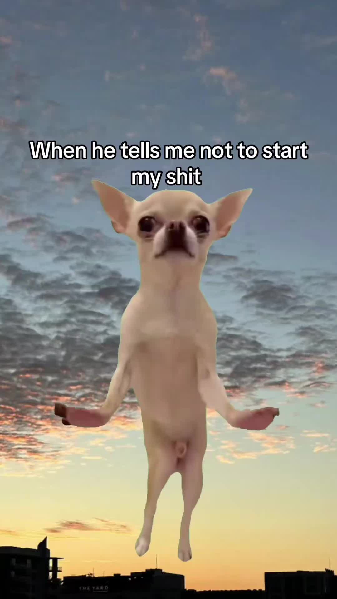 @Shannon Raynor