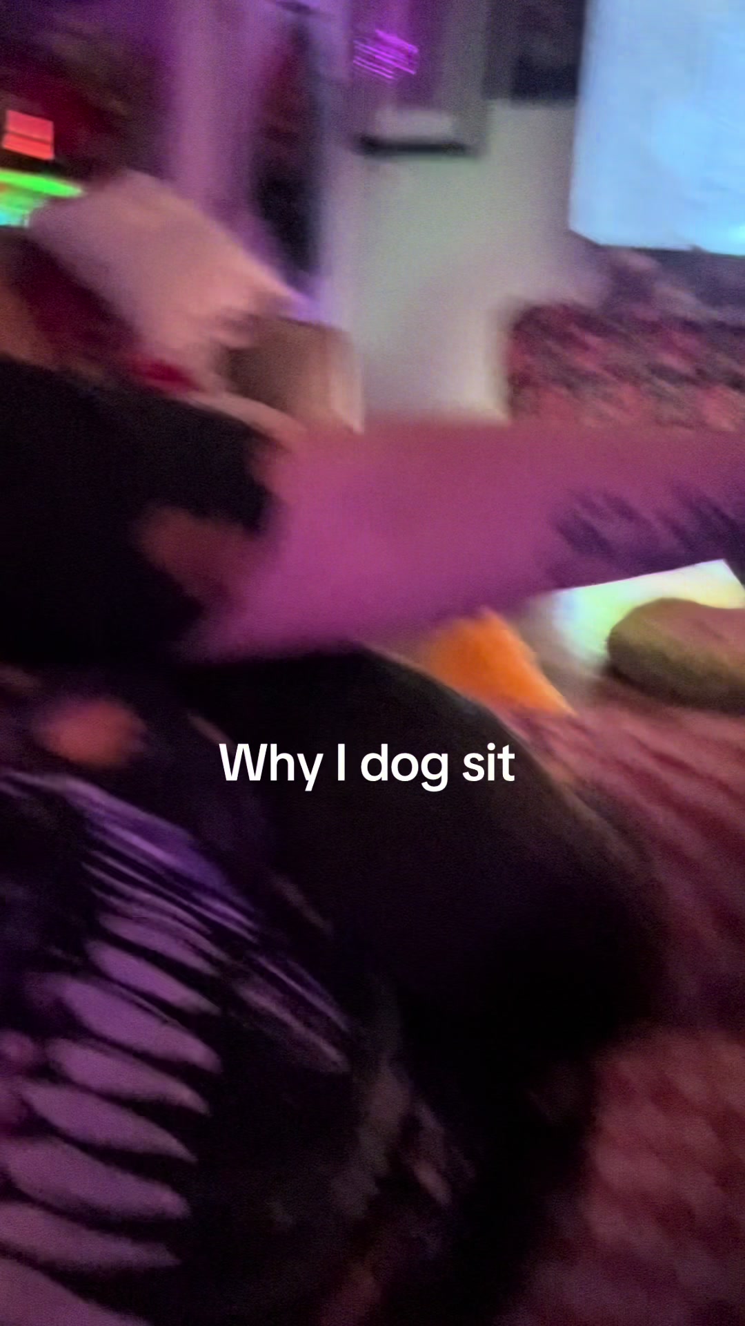 @tristidesigns