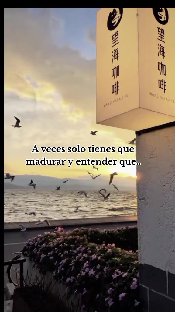 @Fernanda🪷
