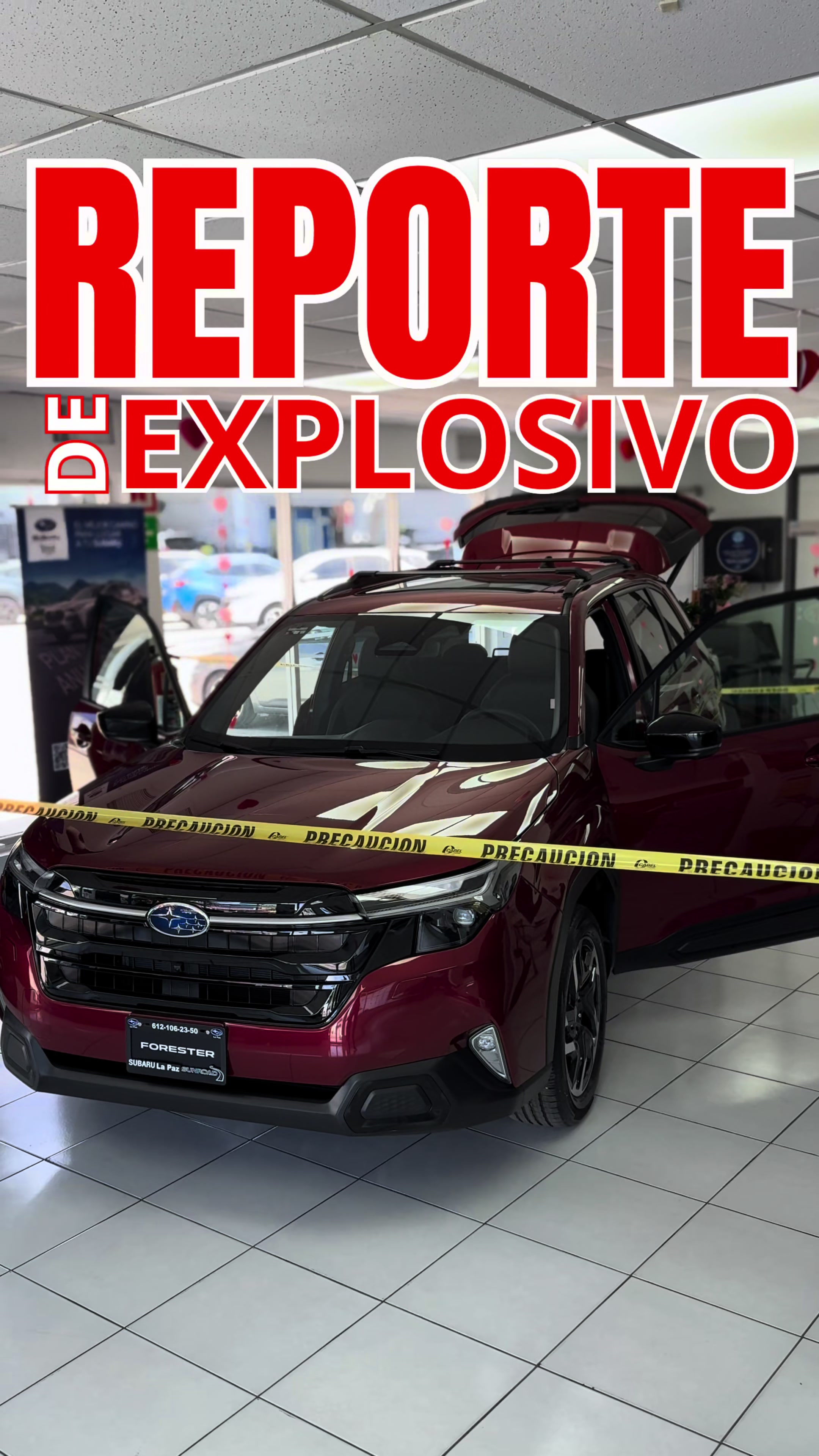 @Subaru Baja Sur