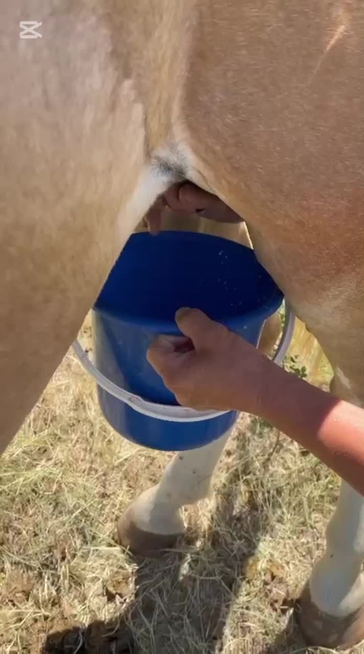 @Kaskasu_saumalmen.emdeu