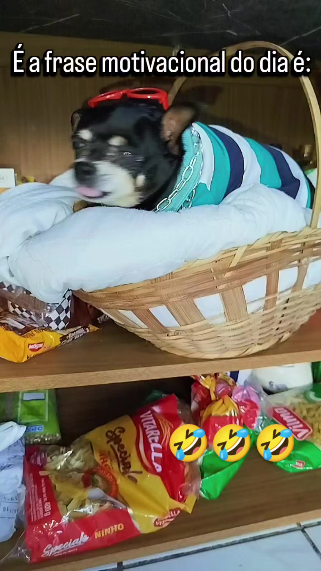 @vanetinhadotiktok