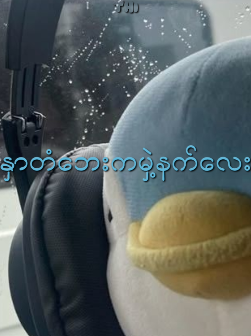 @ᥫ᭡