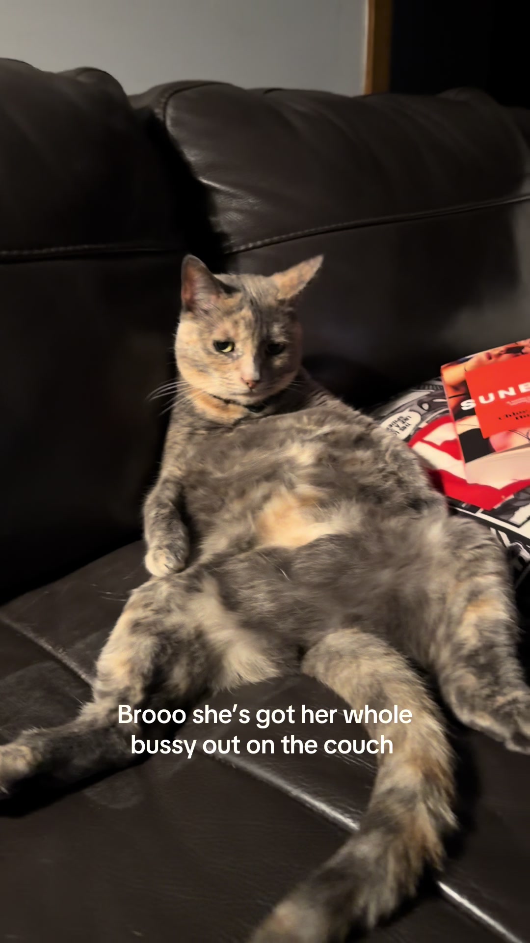 @tdog