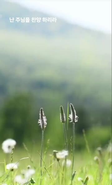 @✞︎✰{태봉}✞︎✰