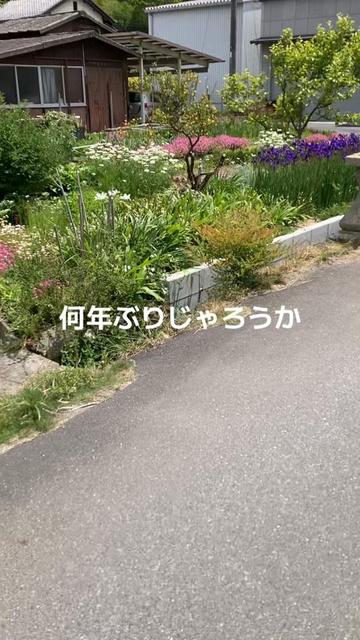 @もふもふ🤗