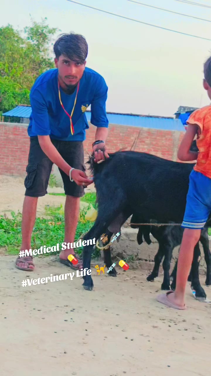 @🐐🦮💉Medical Student💉💉🦮💊