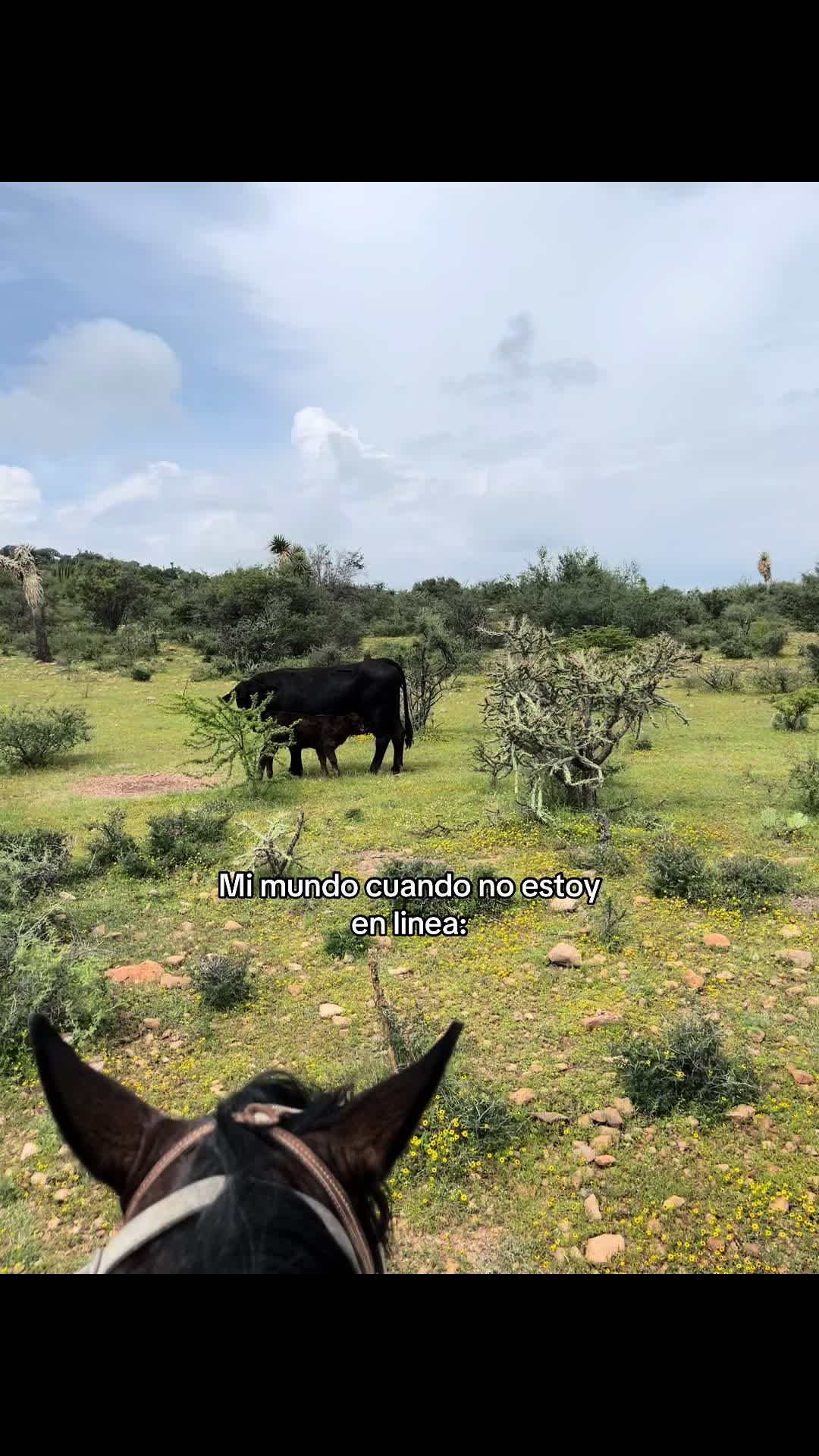 @JuaNito