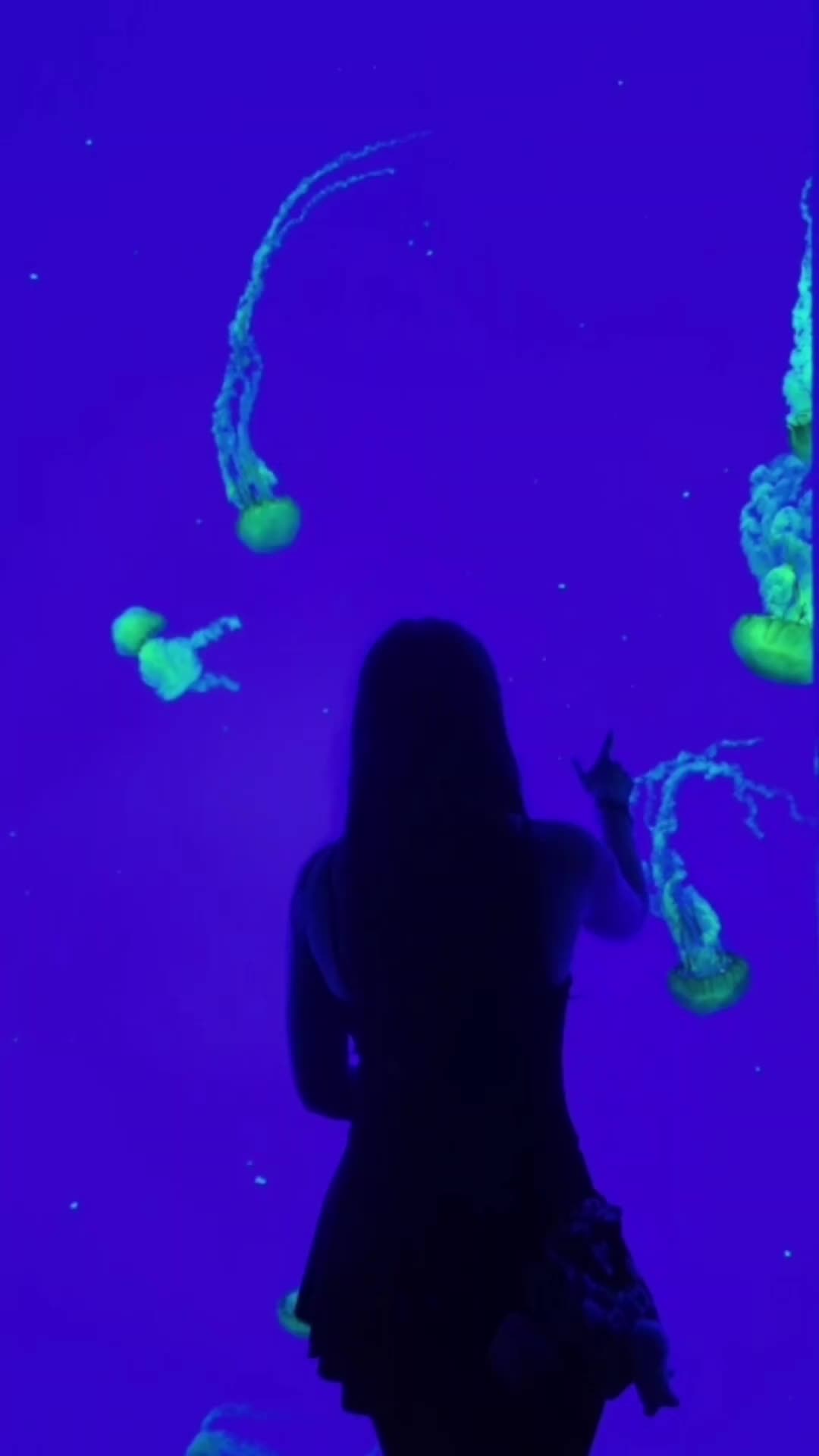@ky ☣︎