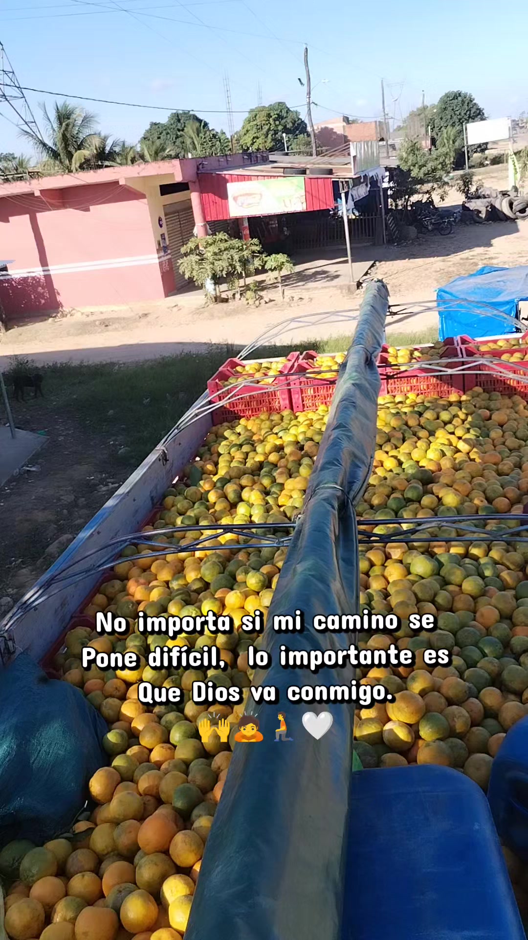 @Dante claros V.