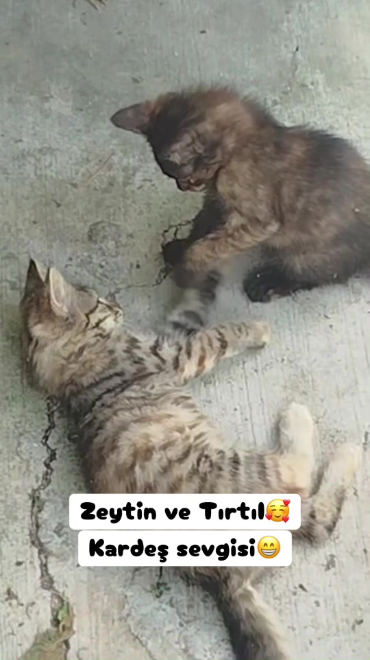 @Şapkalı Kadın