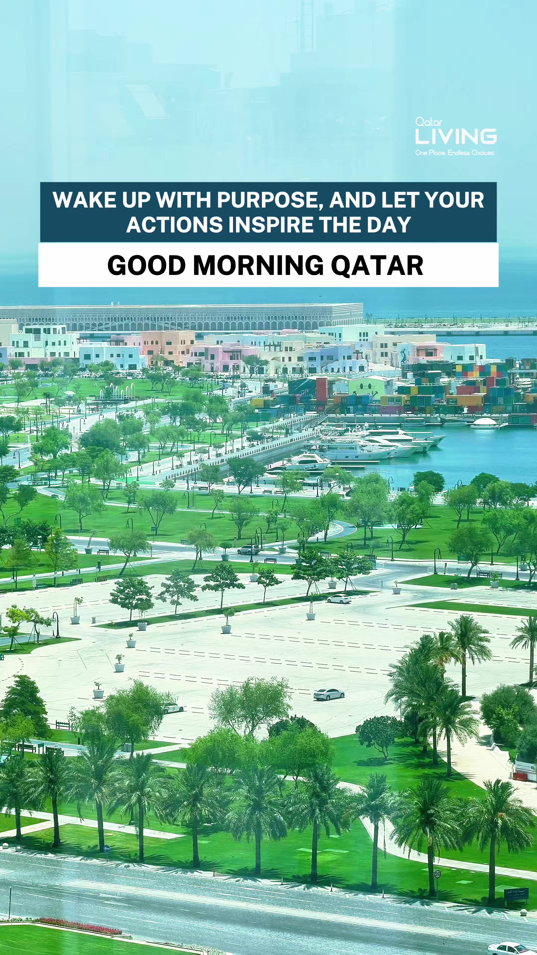 @Qatar Living