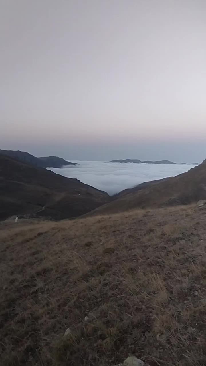 @Elgün Əlizadə