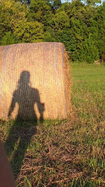 @Red Farmgirl