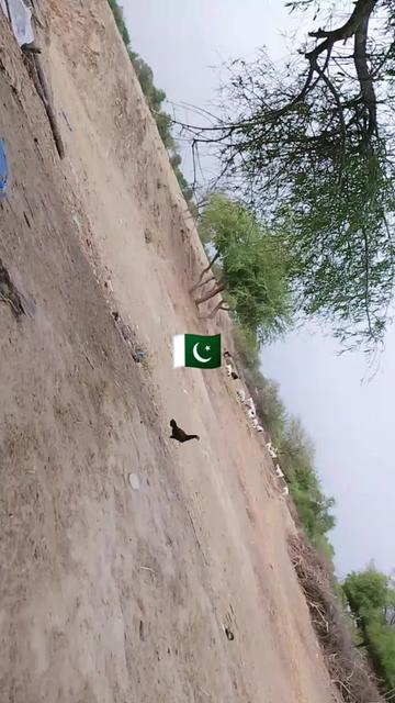 @Faiza Ali