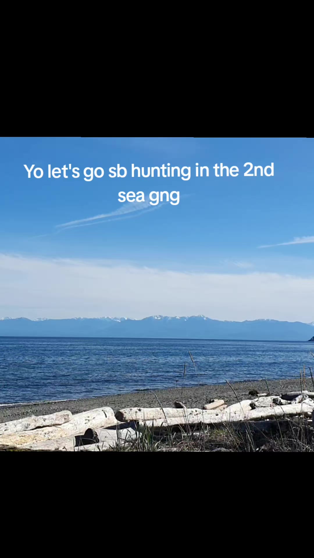 @vince