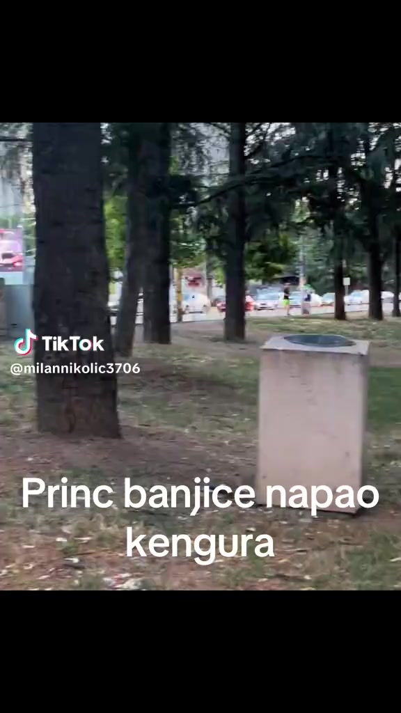 @princ_banjice