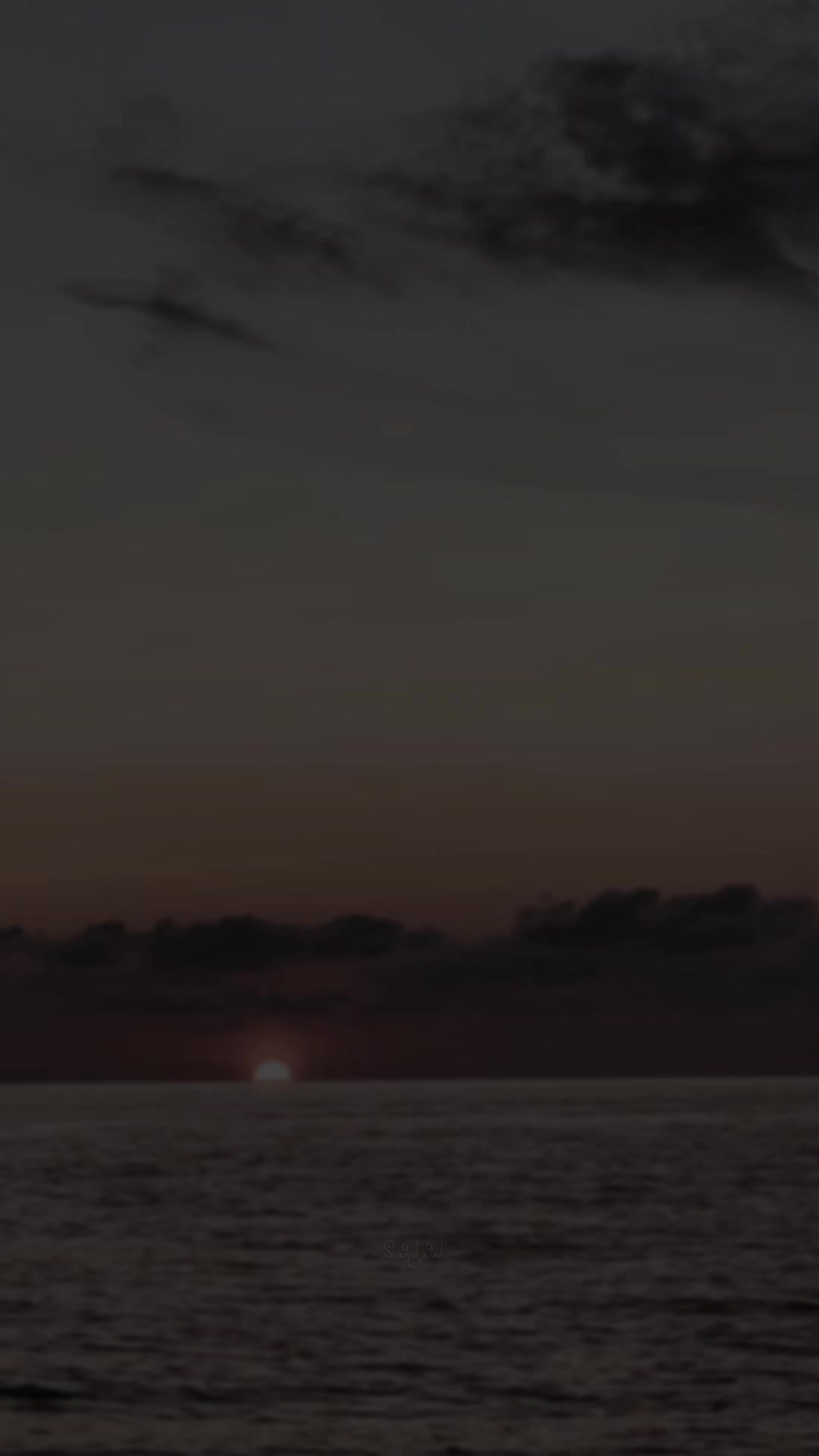 @𝒯𝒽𝑒 𝐵𝓁𝓈 ♡ !