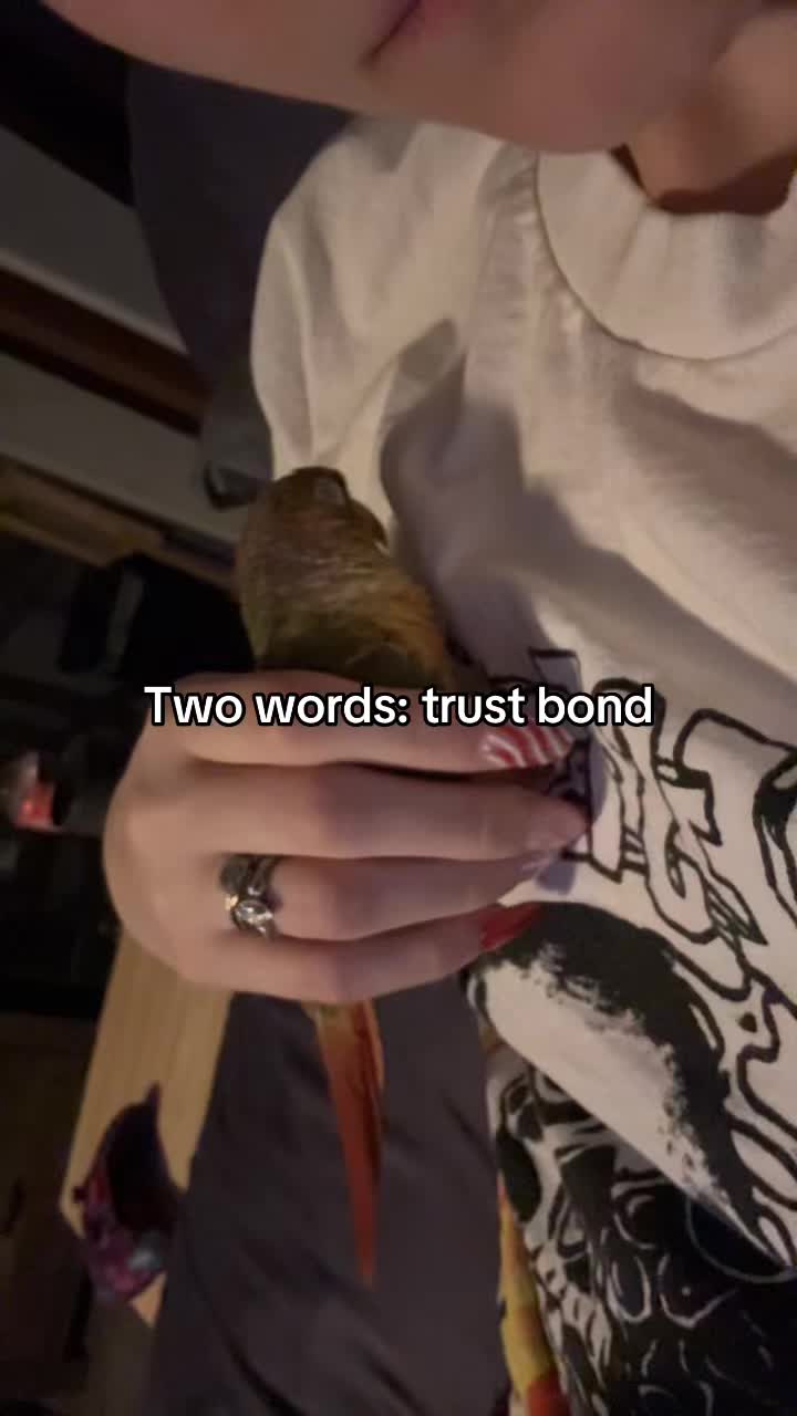 @nessiebeann