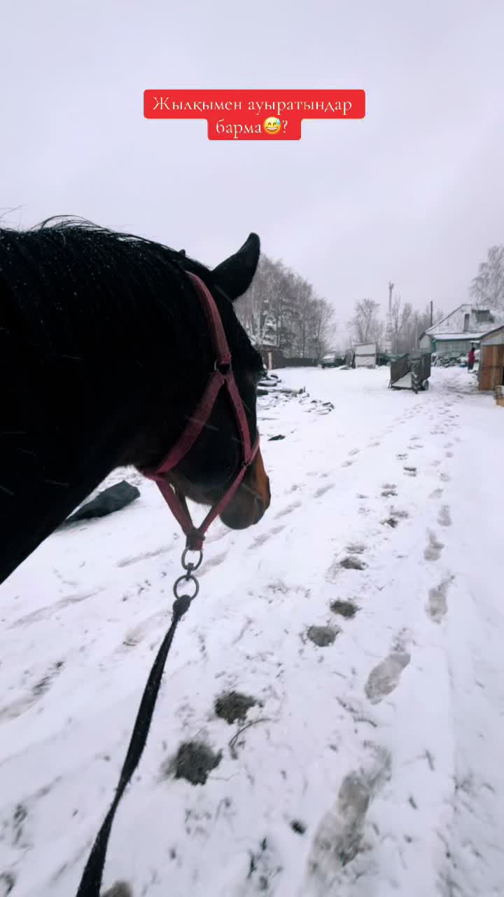 @Какилеев Ескендр