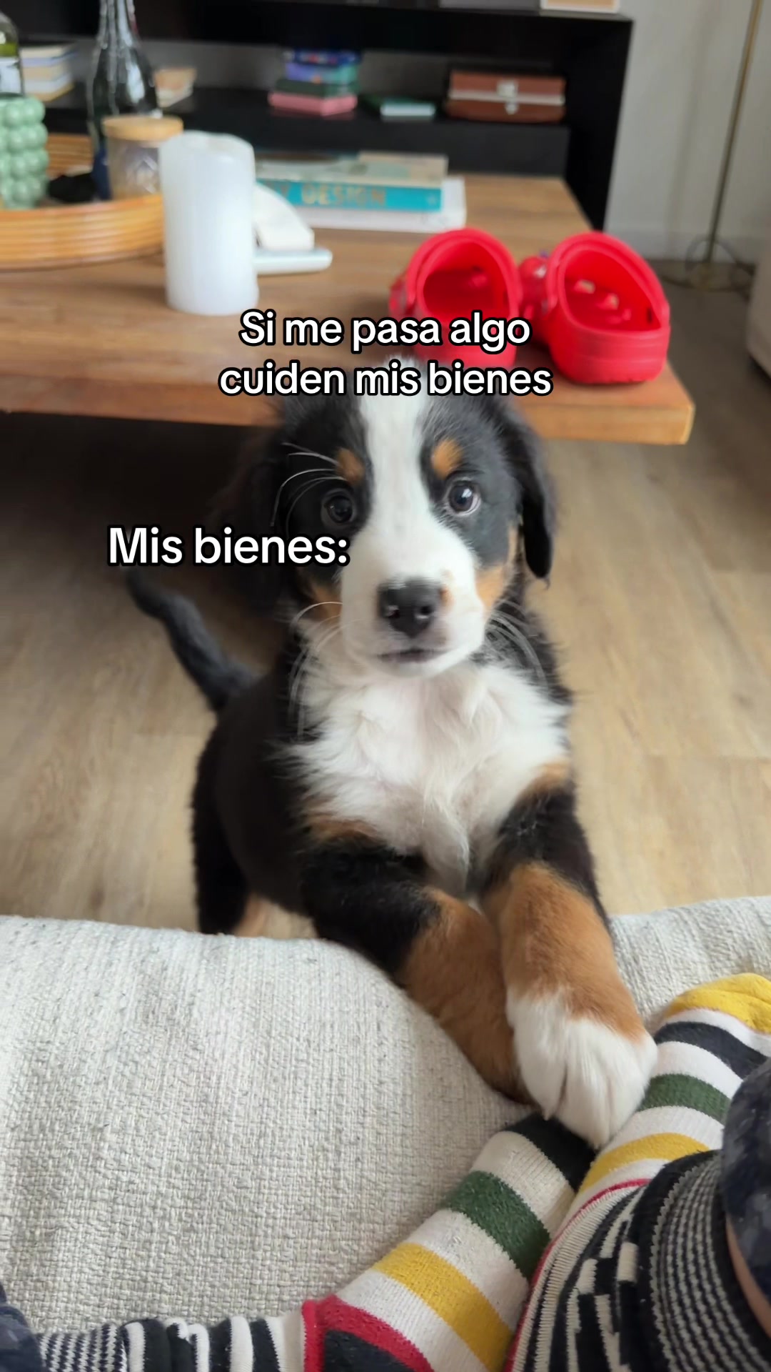 @Camiluchis :)