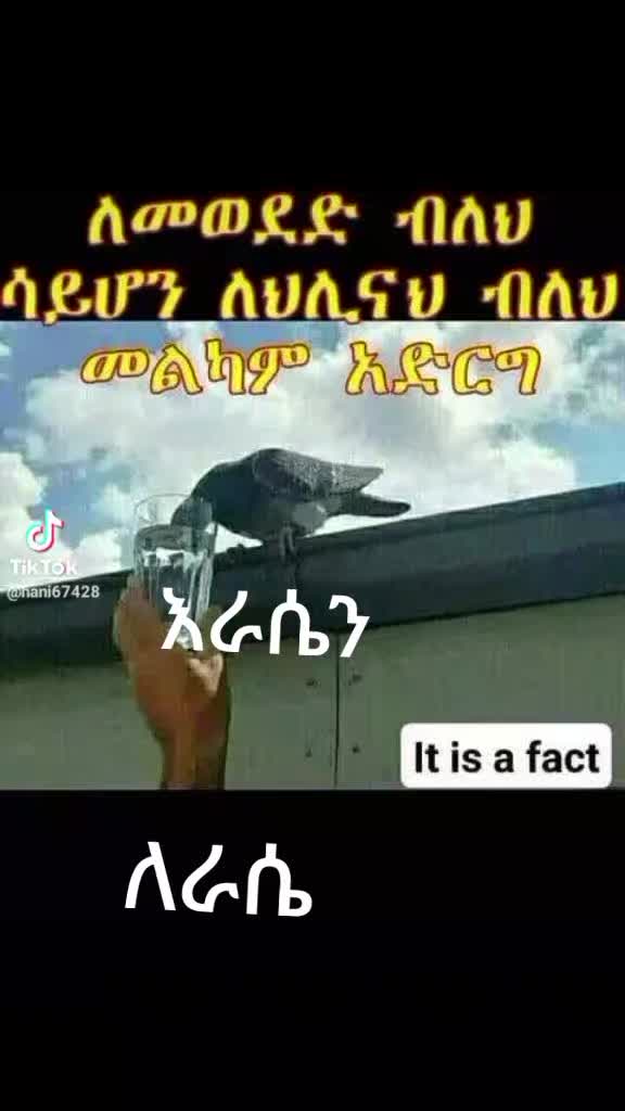 @endrisመቅደላ, ፋሚሊ