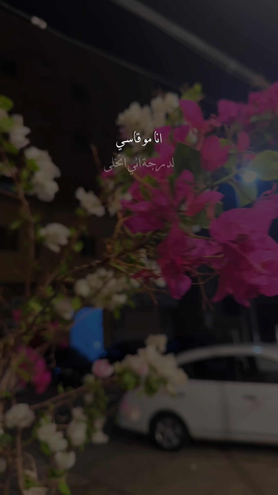 @Tousha🧚🏼♀️