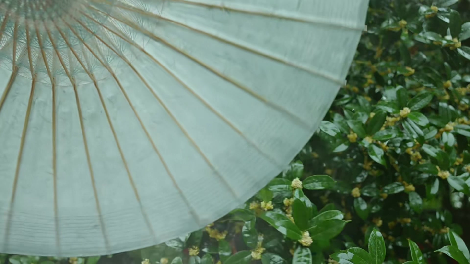 @Tuyết Lạc Sơn Trang