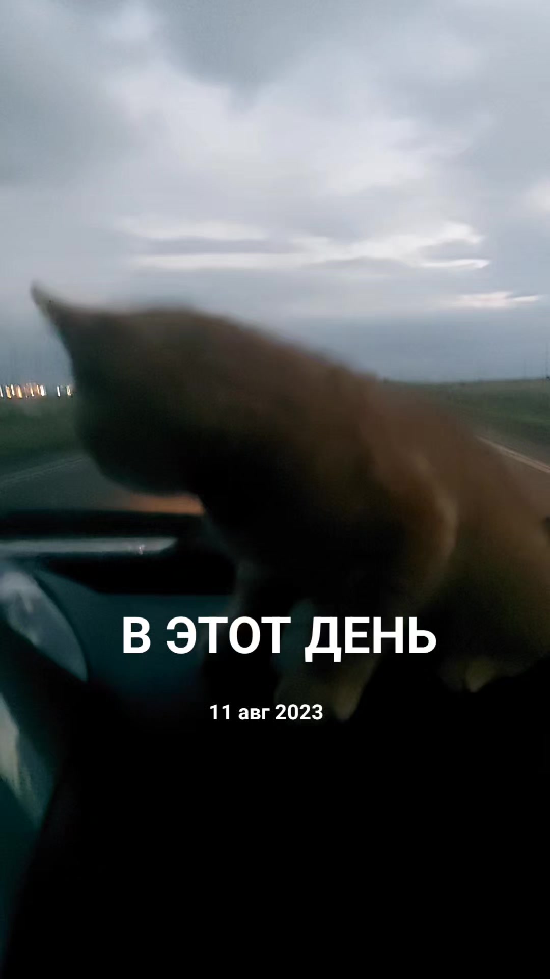 @Ксения