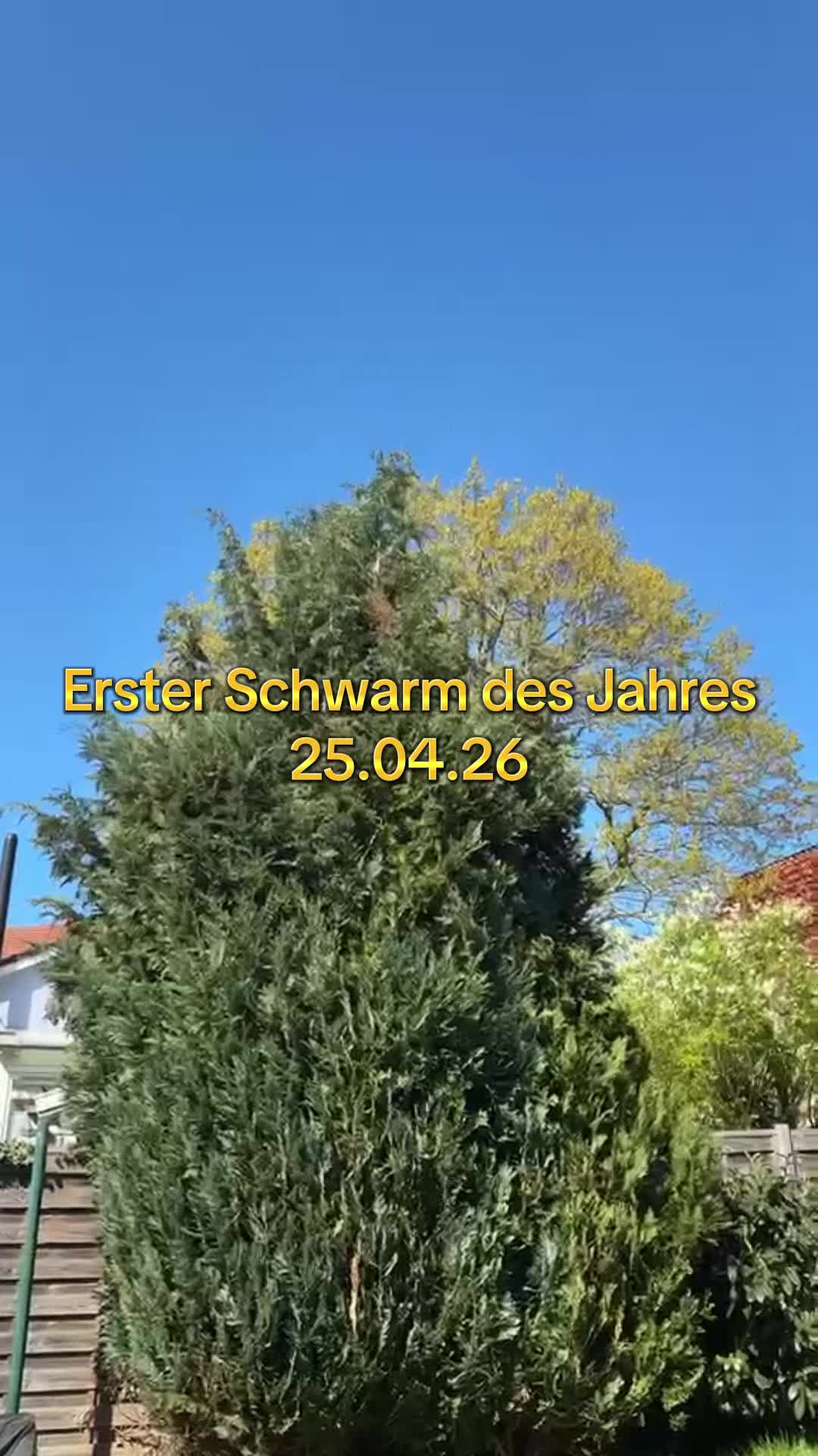 @Der Kuhninator