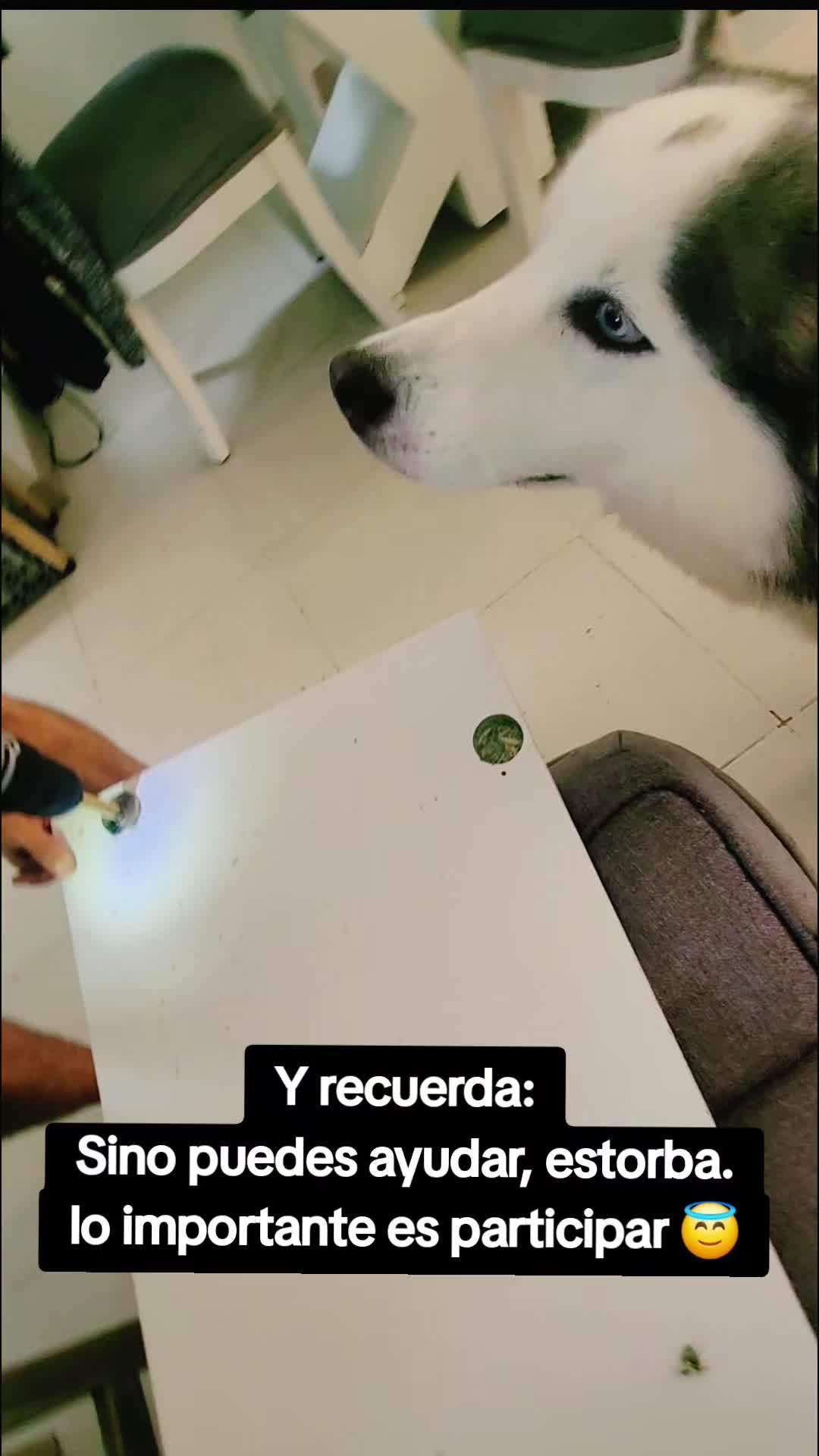 @Horus Antonio Cort&eacute;s Arias