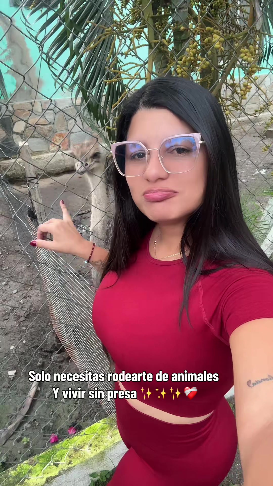 @Granjamascotalandiayaracuy