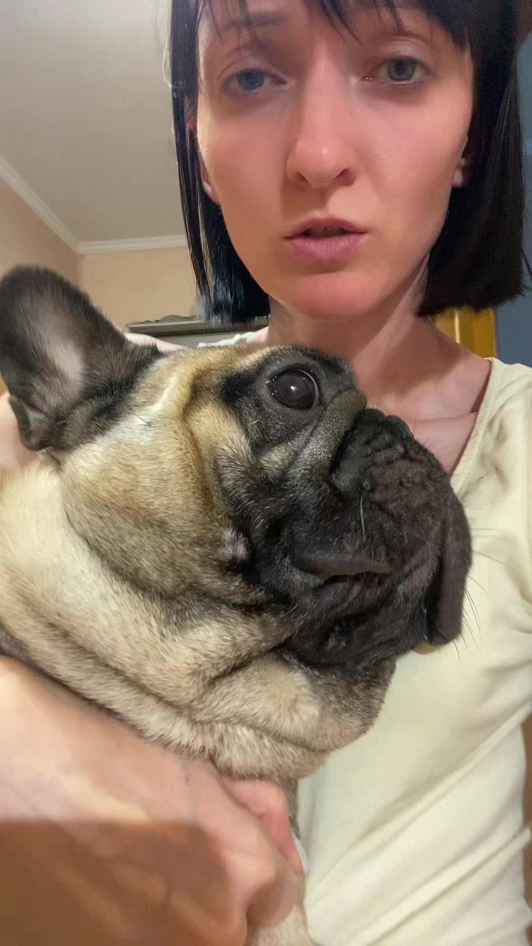 @_holly_bulls_