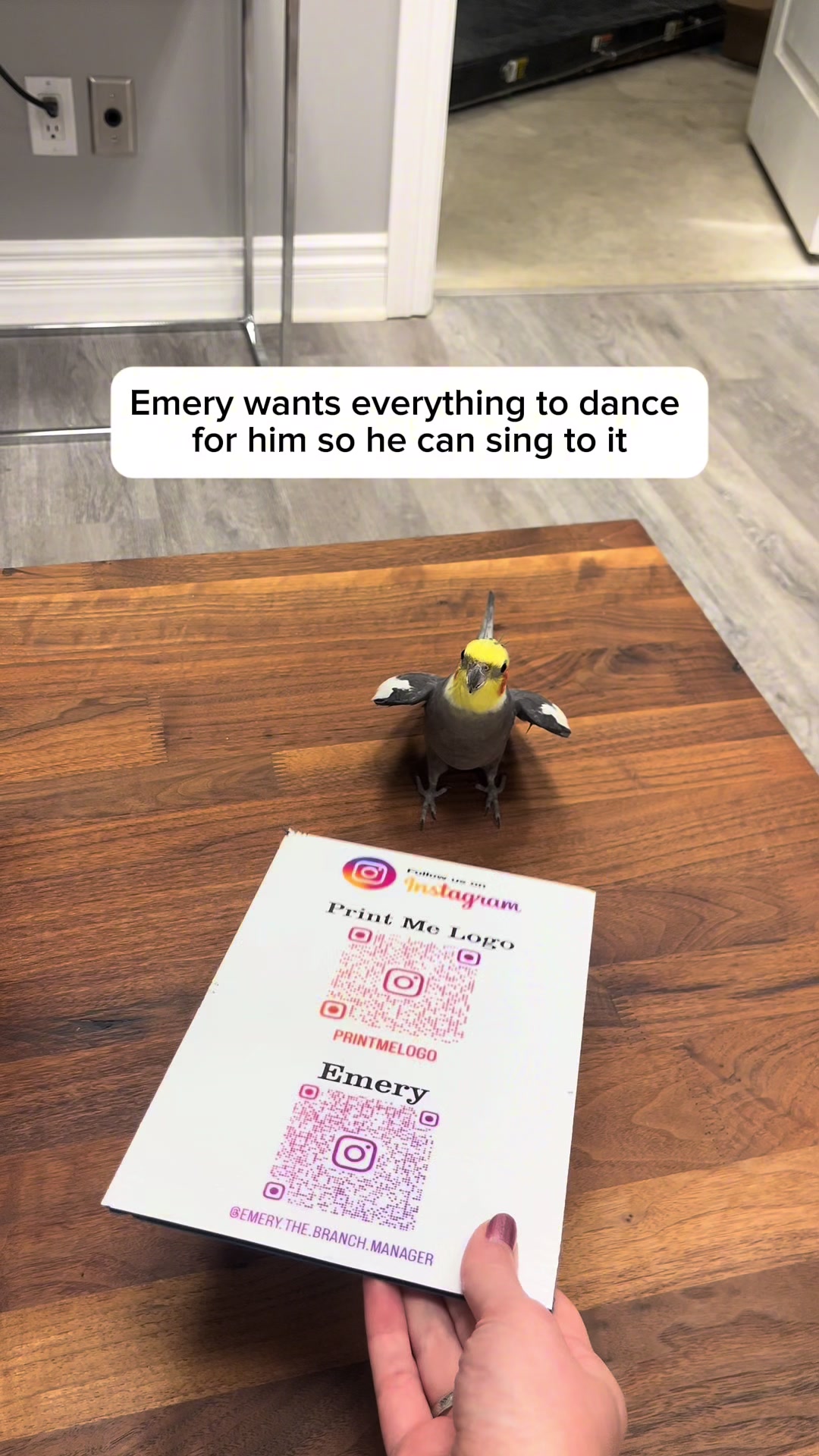 @Emery The Branch Manager