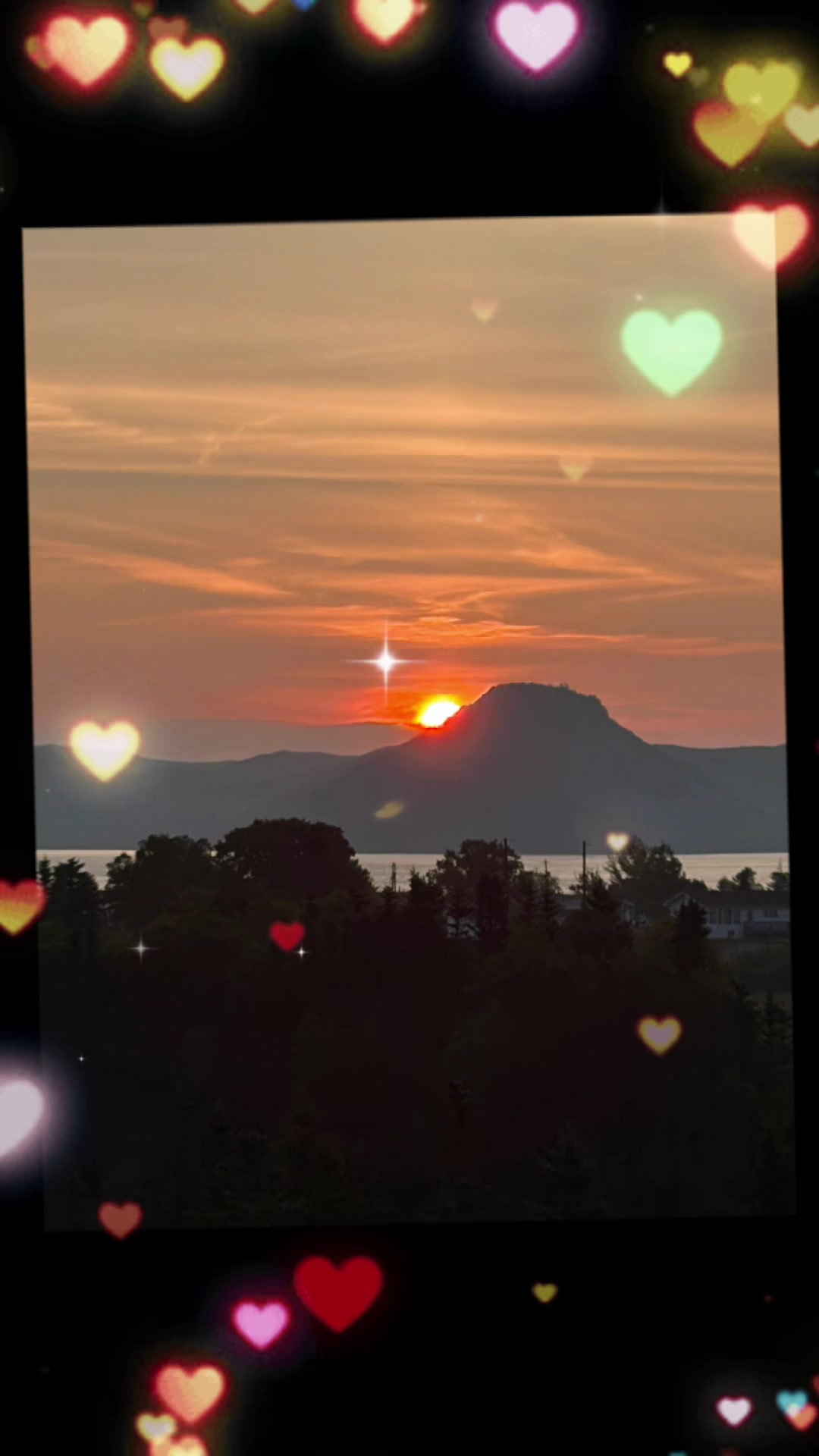 @Baygirl143 🇨🇦💚🤍💚🤍