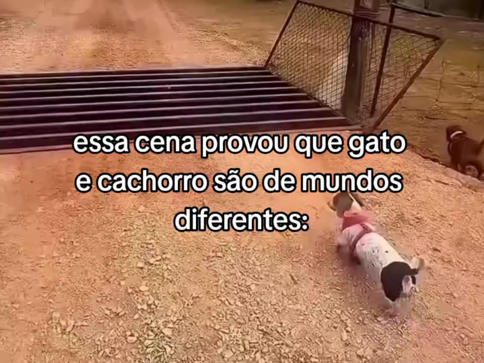 @Niquinho 🤏🏻